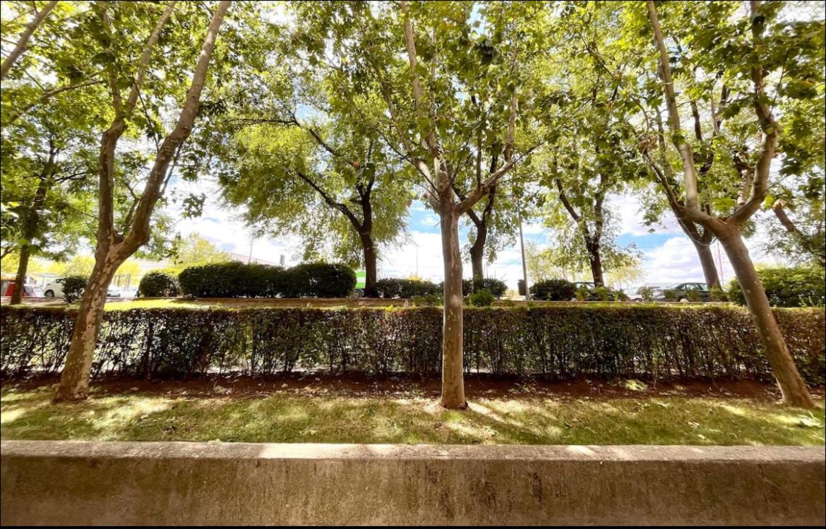 Maximilian Dreams Apartman Madrid Kültér fotó